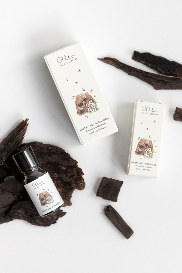 Queensland Buddhawood Oil