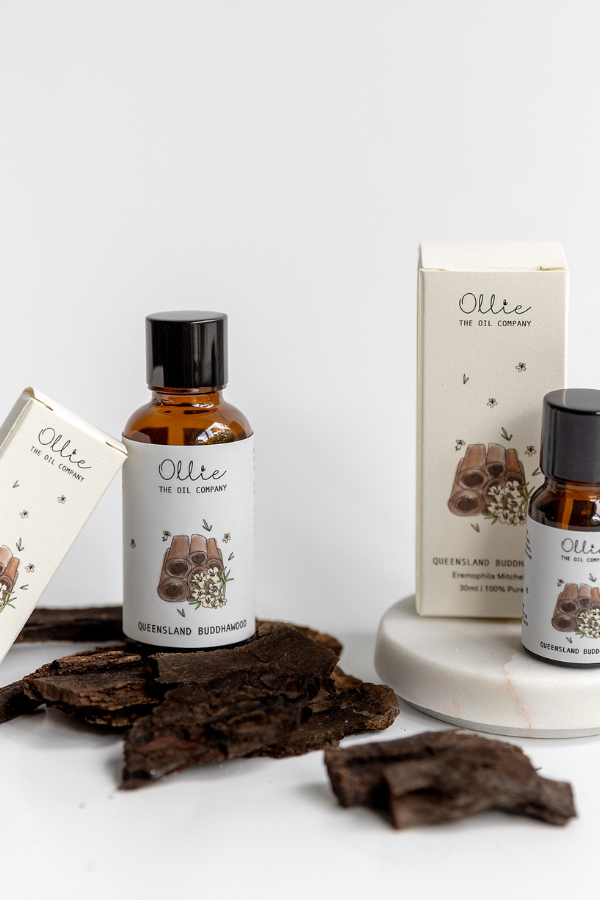 Queensland Buddhawood Oil