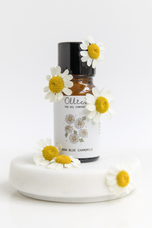 German Blue Chamomile Oil