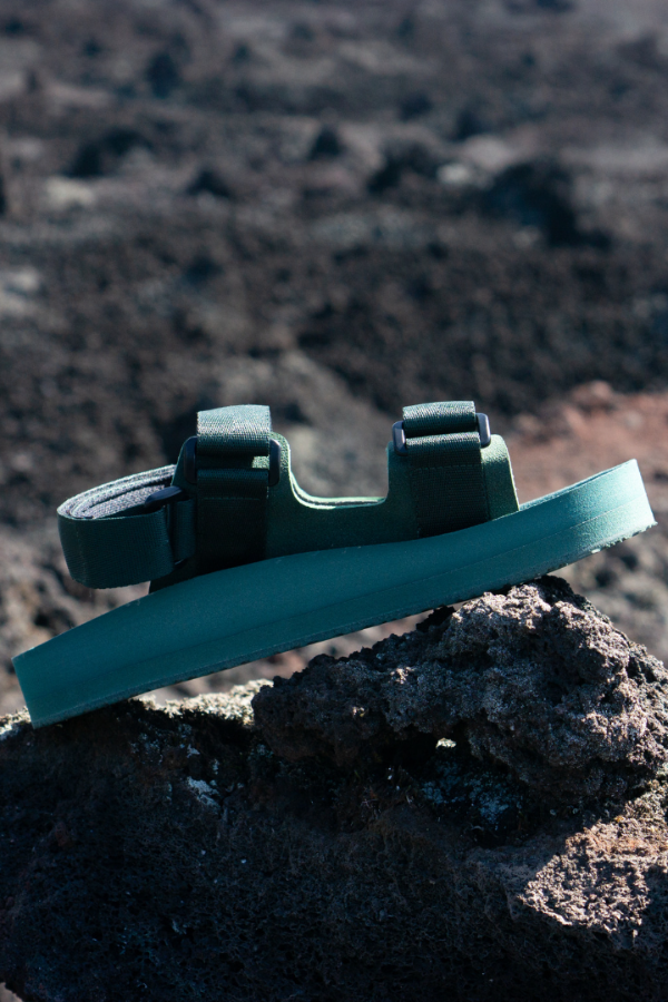 Men's Adventurer Sandals In Leaf