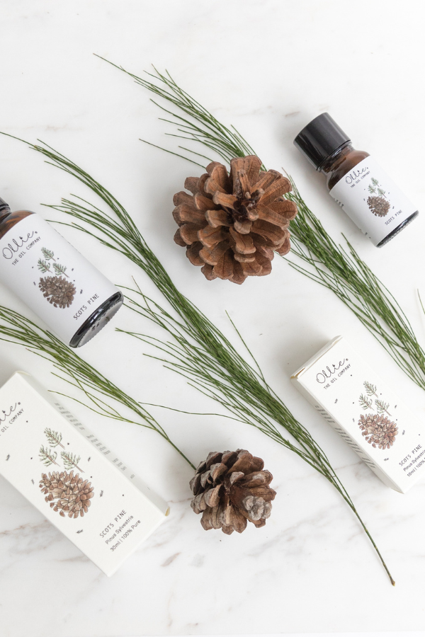 Scots Pine Oil
