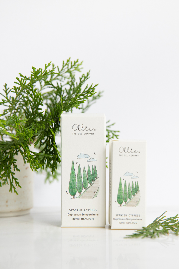 Spanish Cypress Oil