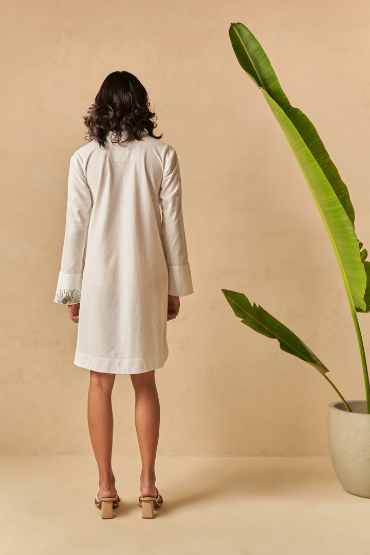 Breezy Ocean Cotton Dress