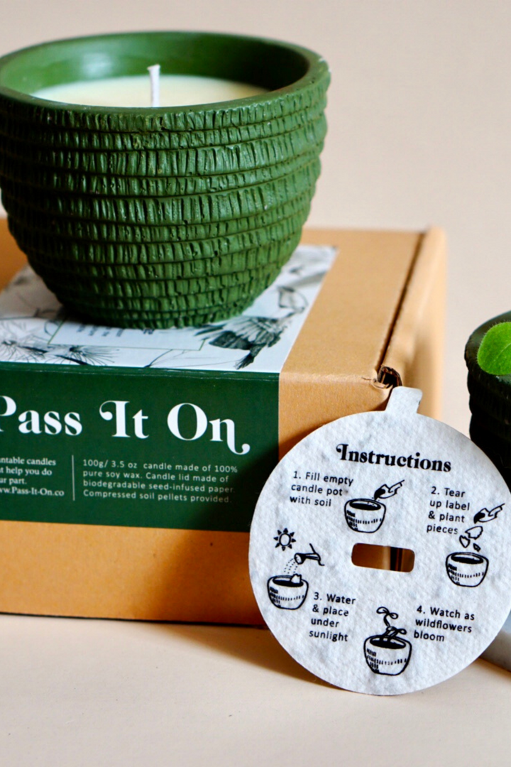Pass In On Candle in Amazon (Goji & Tarocco Blood Orange), available on ZERRIN