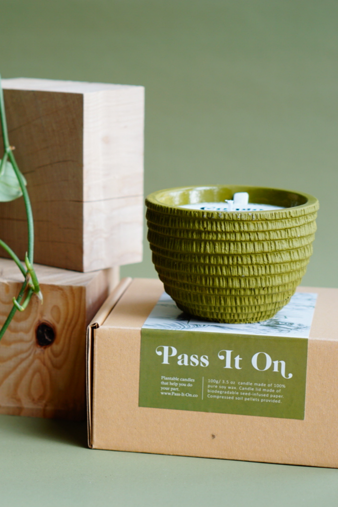 Pass It On Candle in Congo Basin (Orchid & Vetiver), available on ZERRIN