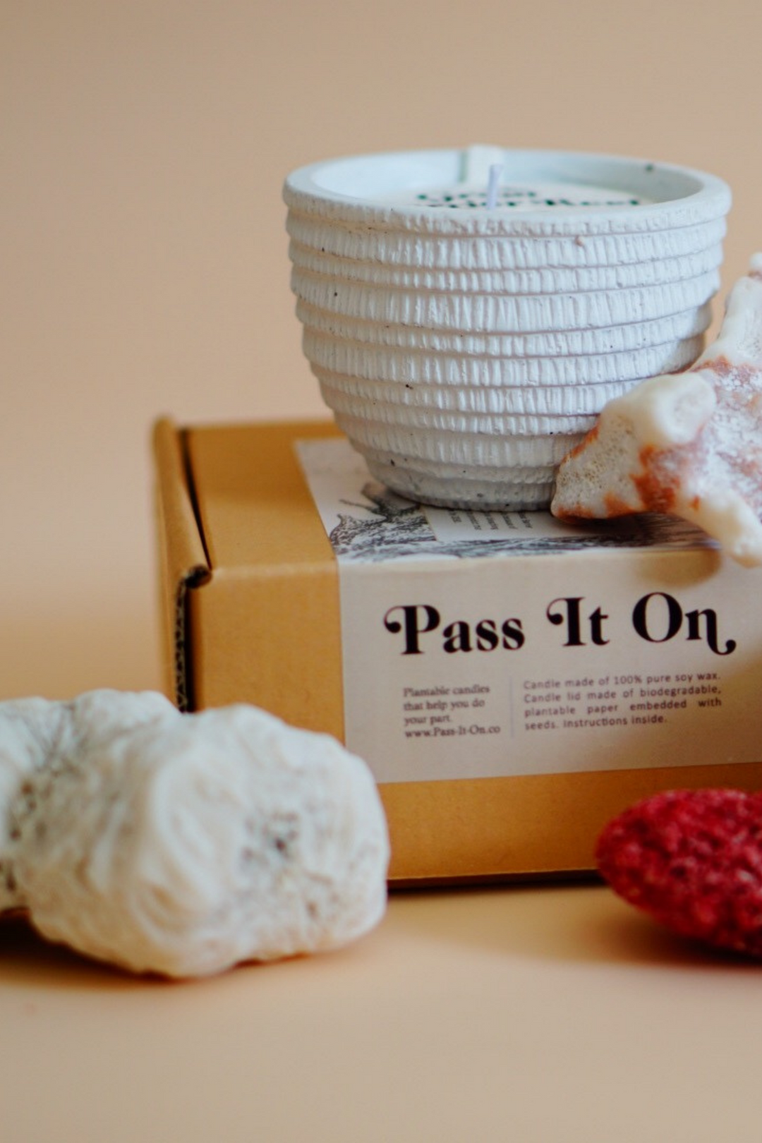 Pass It On Candle in Great Barrier Reef (Wood Sage & Sea Salt), available on ZERRIN