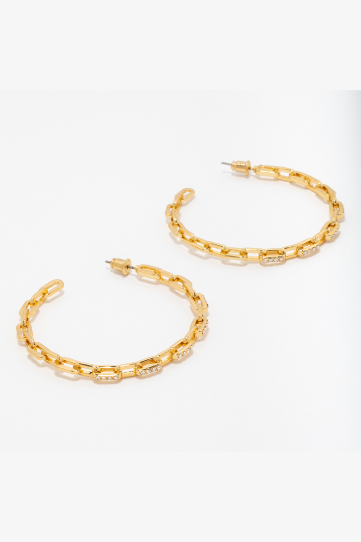 Delia Hoop Earrings