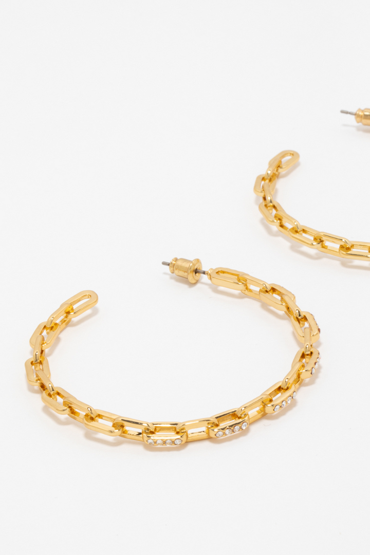 Delia Hoop Earrings