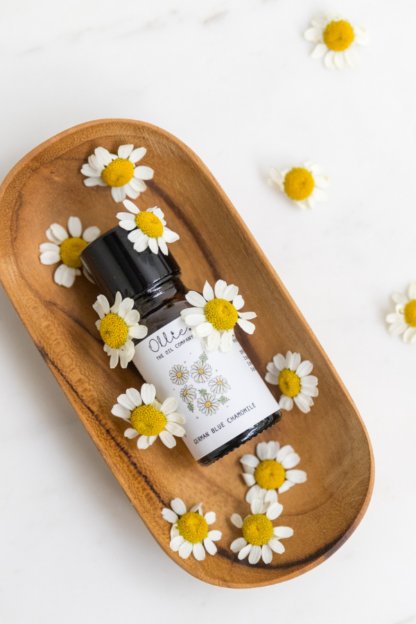 German Blue Chamomile Oil