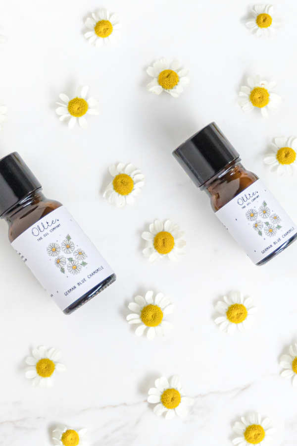 German Blue Chamomile Oil