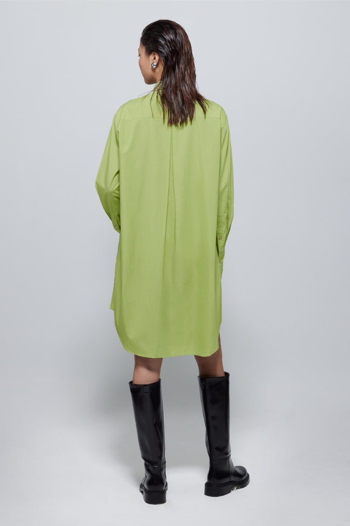 Tasha Oversized Belted Shirt Dress In Green