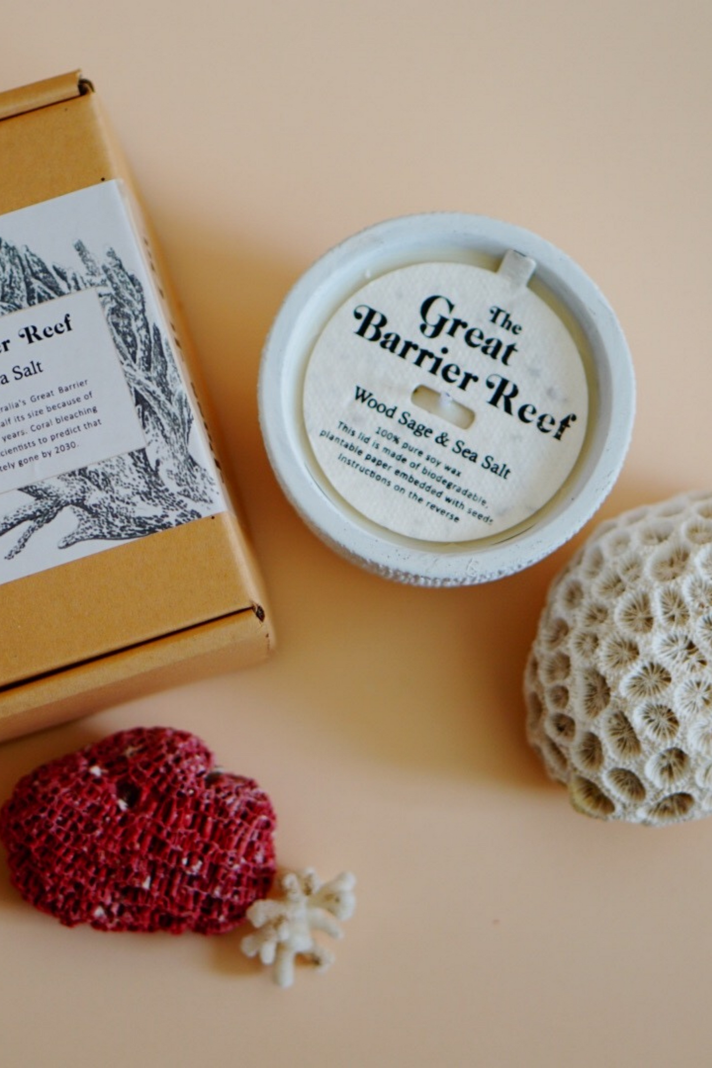 Pass It On Candle in Great Barrier Reef (Wood Sage & Sea Salt), available on ZERRIN
